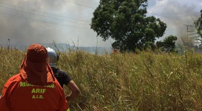 Incendi a Castro e Torre Guaceto