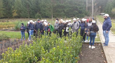 Vivai Aperti – Orto di Zolfo – Biccari (Fg)