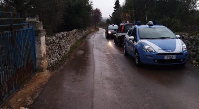 Xylella, abbattuti 13 ulivi a Cisternino