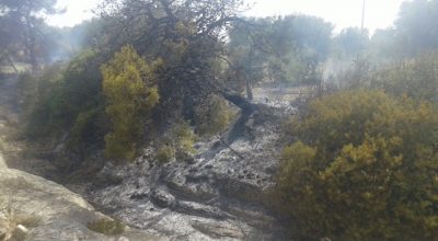 Situazione incendi nel Salento