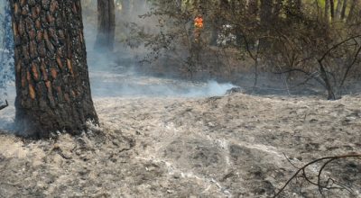 Incendio a Castellaneta Marina