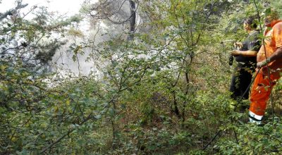 Incendio nel bosco di Accadia