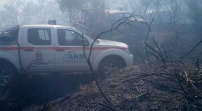 Castellaneta, distrutti 12 ettari di bosco