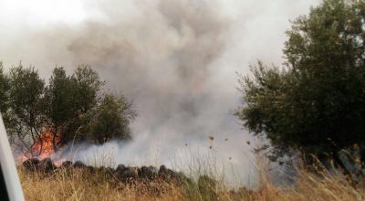 In fumo a Ginosa 7 ettari di terreno incolto