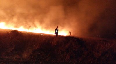 Spinazzola, distrutti dalle fiamme 40 ettari di pascolo