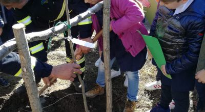 Vivai aperti e Festa dell’Albero, Arif in prima linea