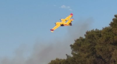 Incendi nel tarantino, intervenuto un Canadair