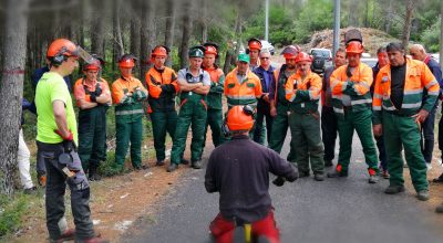 Corso sull’utilizzo della motosega in sicurezza