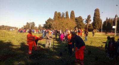 Festa dell’albero, “Vivai forestali aperti”