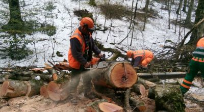 Foresta Umbra raccolta legna dopo nevicate