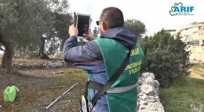 Monitoraggio Xylella, ripartenza all’europea