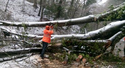 Neve di primavera. Interventi dell’Arif sul Gargano