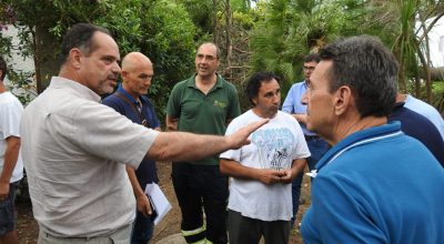 Pini secolari abbattuti dal maltempo a Castellaneta Marina. Interviene l’Arif