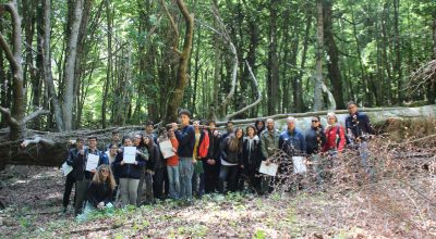 Primi studenti nel Martelloscopio della Faggeta di Foresta Umbra